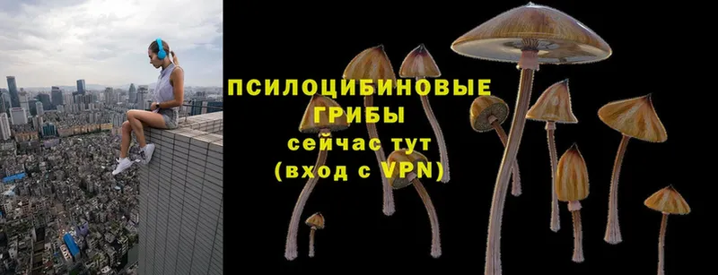 Псилоцибиновые грибы Magic Shrooms  KRAKEN как войти  Мамадыш  купить  